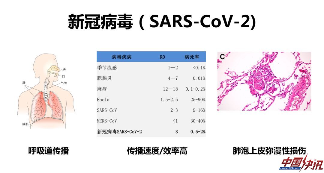 新冠病毒如何阻断？科学家从病毒的前世今生讲起