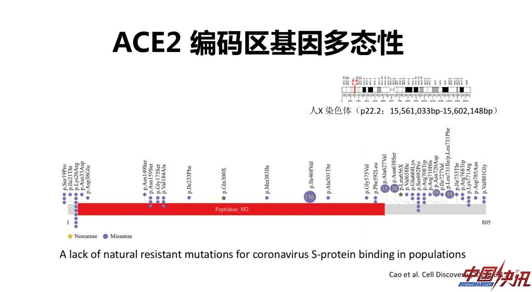 新冠病毒如何阻断？科学家从病毒的前世今生讲起