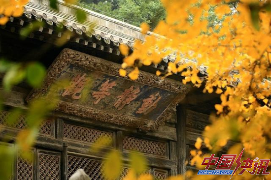 北京西山大觉寺，秋天的时候特别美