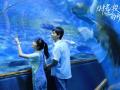 《时光投影里的秘密》发布终极预告 VR影片重启初恋倒计时