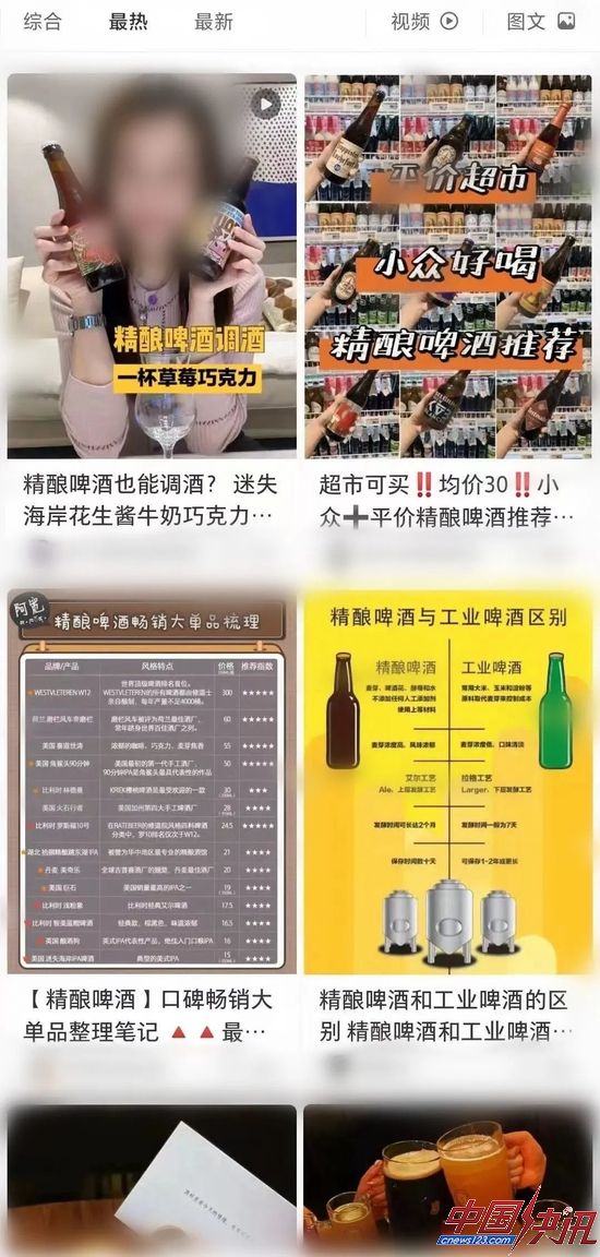 图 / 精酿啤酒相关笔记 来源 / 小红书 燃财经截图